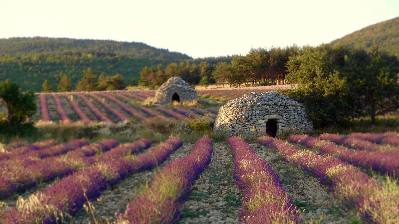 Chateau Ferrassieres ภายนอก รูปภาพ